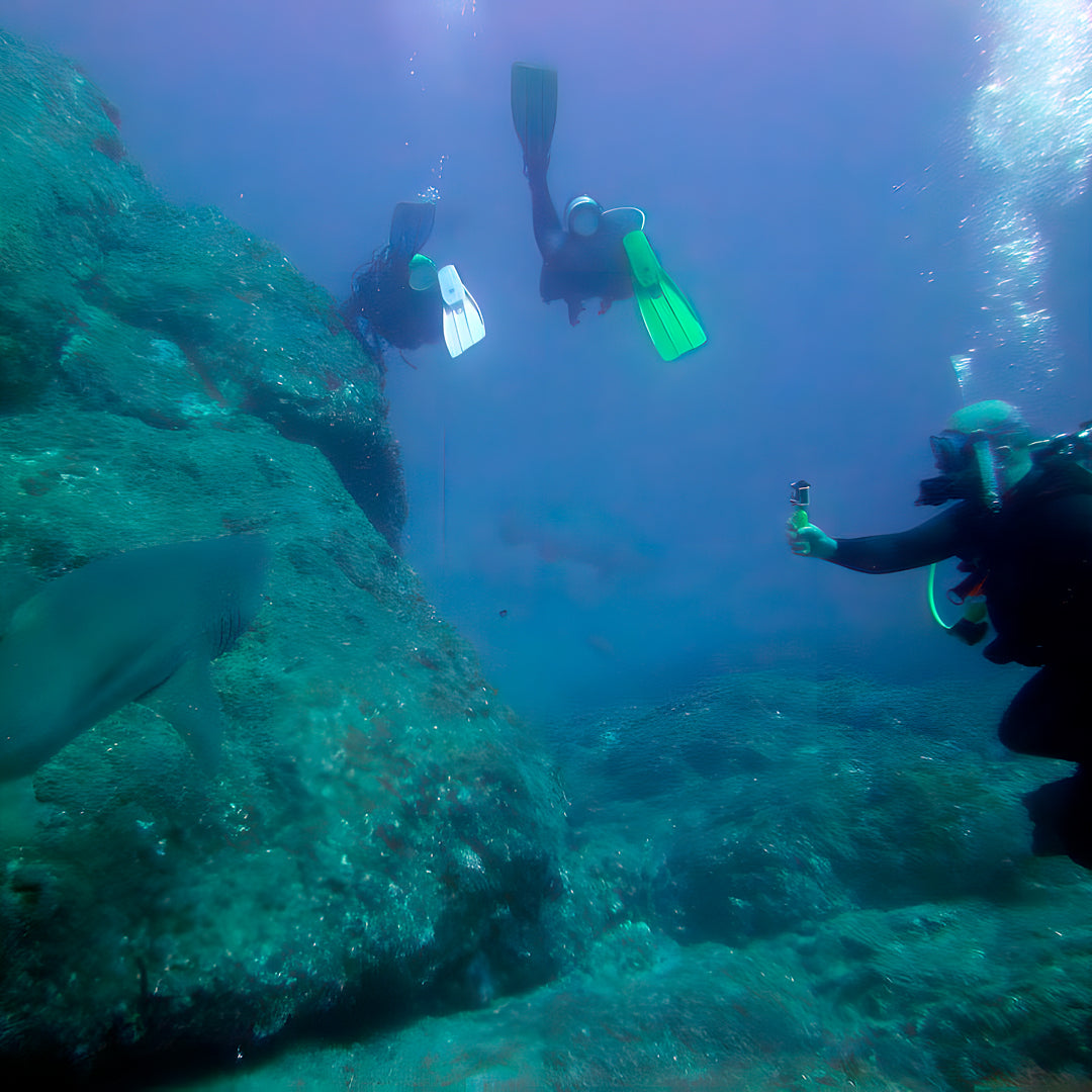 Scuba Diving Refresher Course in Rainbow Beach
