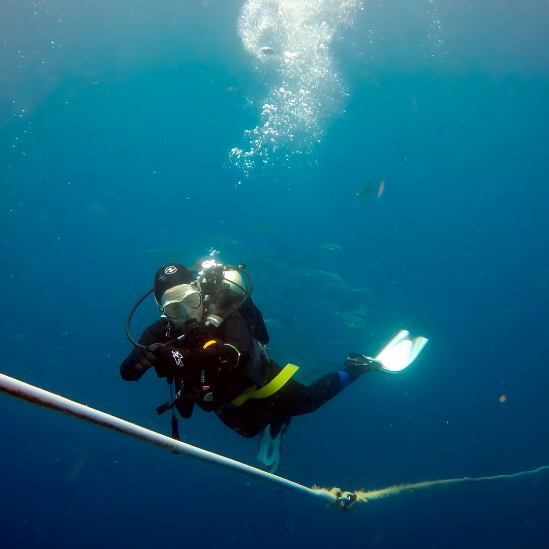 Scuba Diving Refresher Course in Rainbow Beach