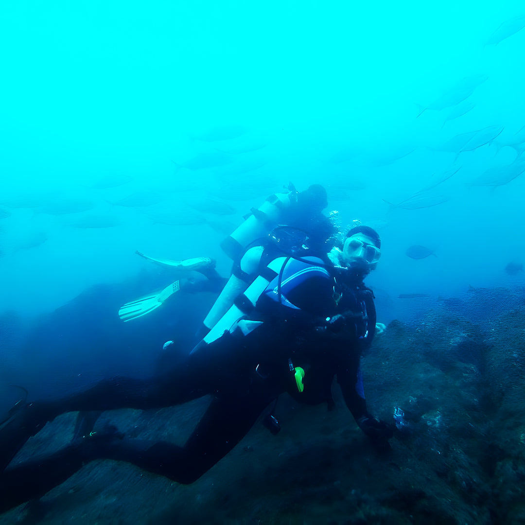 Scuba Diving Refresher Course in Rainbow Beach