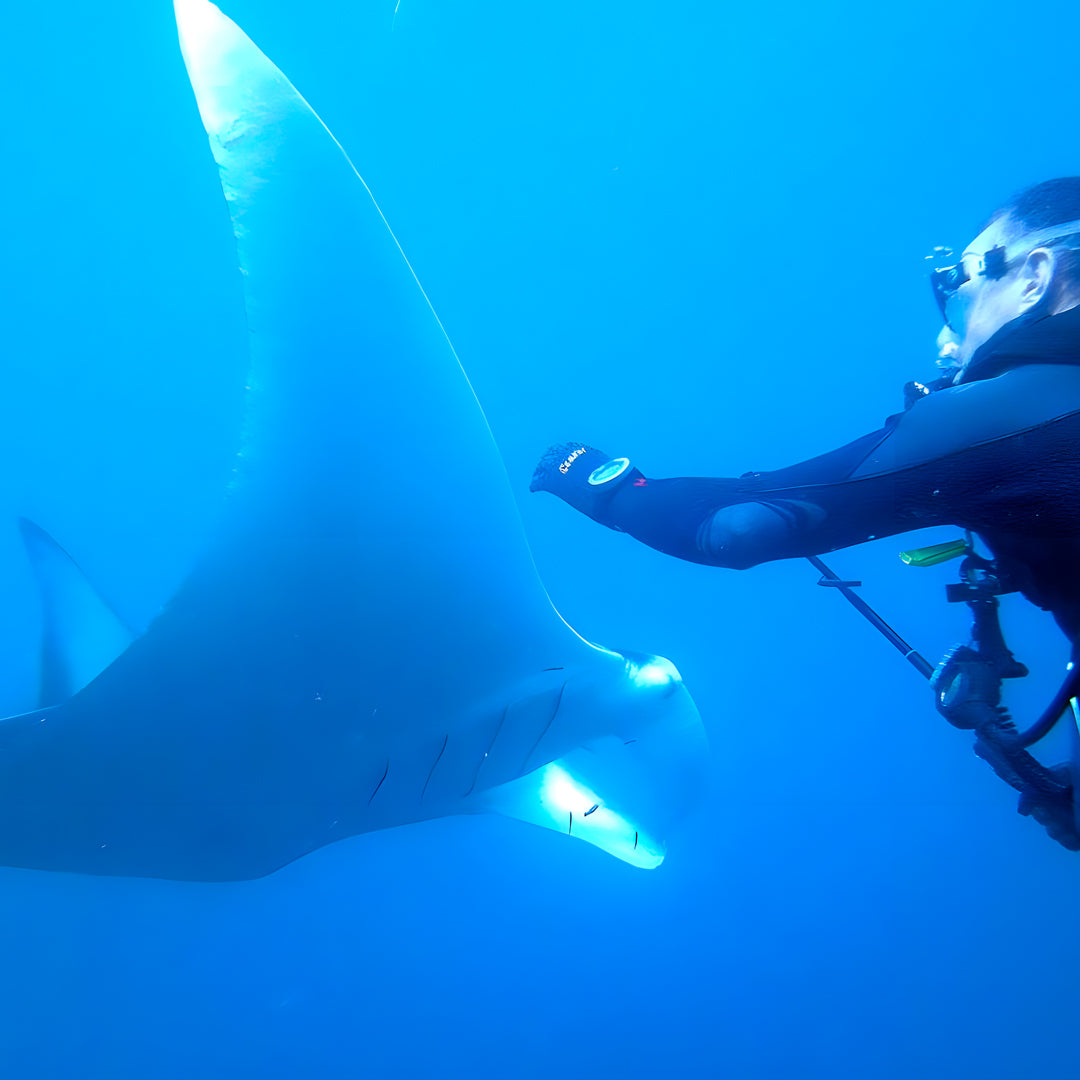 Advanced Open Water Diving Course in Rainbow Beach