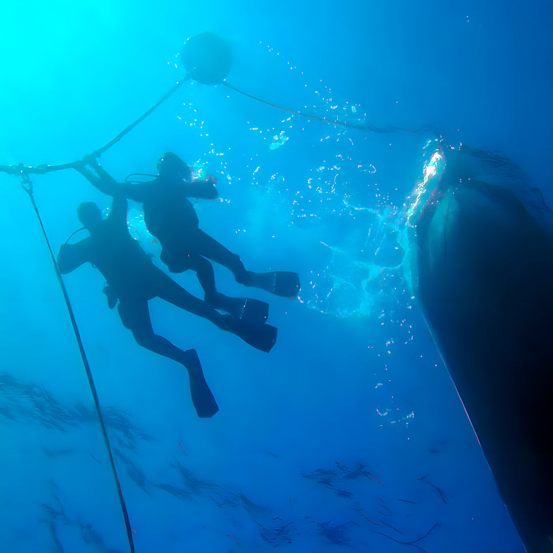 Discover Scuba Diving in Rainbow Beach