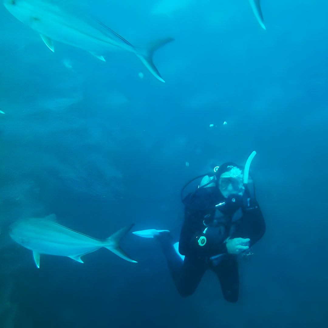 Advanced Open Water Diving Course in Rainbow Beach