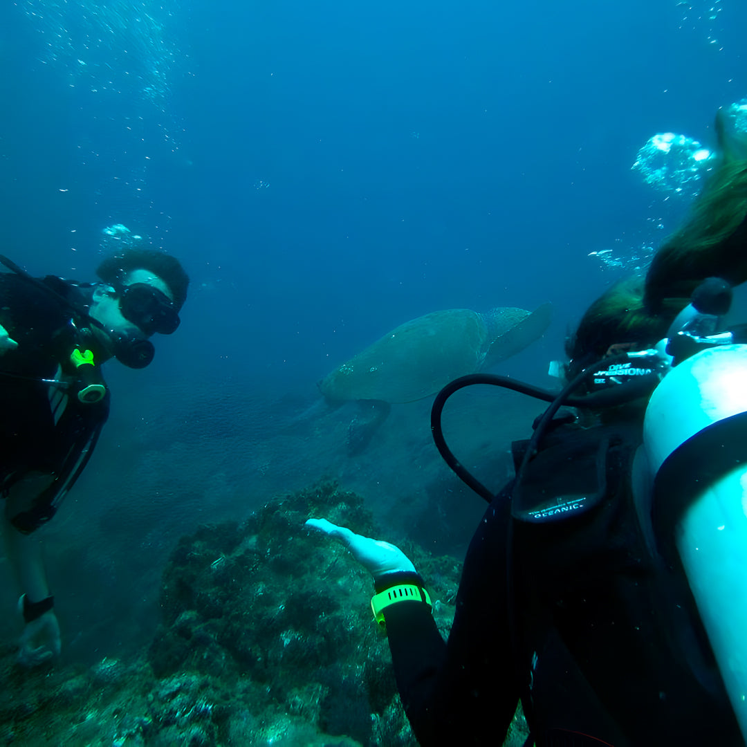 Scuba Diving Refresher Course in Rainbow Beach