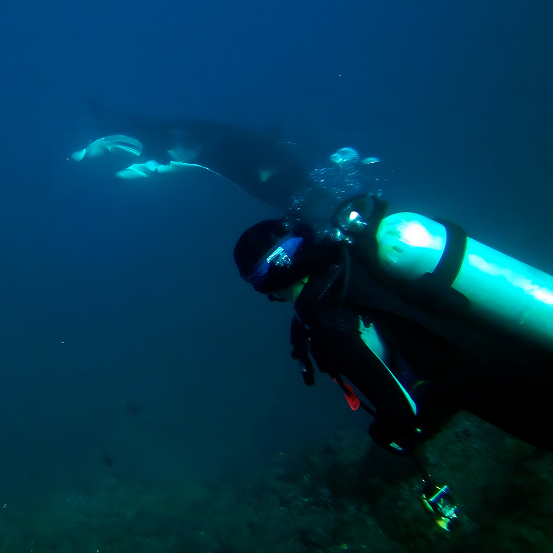 Scuba Diving Refresher Course in Rainbow Beach