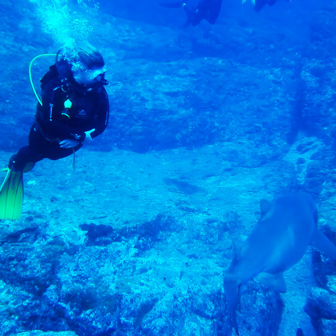 Advanced Open Water Diving Course in Rainbow Beach