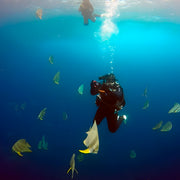 Discover Scuba Diving in Rainbow Beach