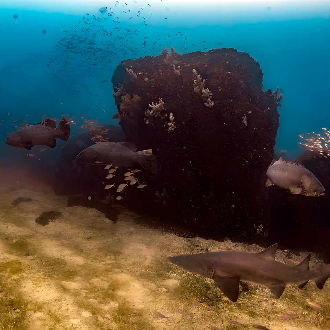 Rainbow Beach PADI Enriched Air Diver Dry Course