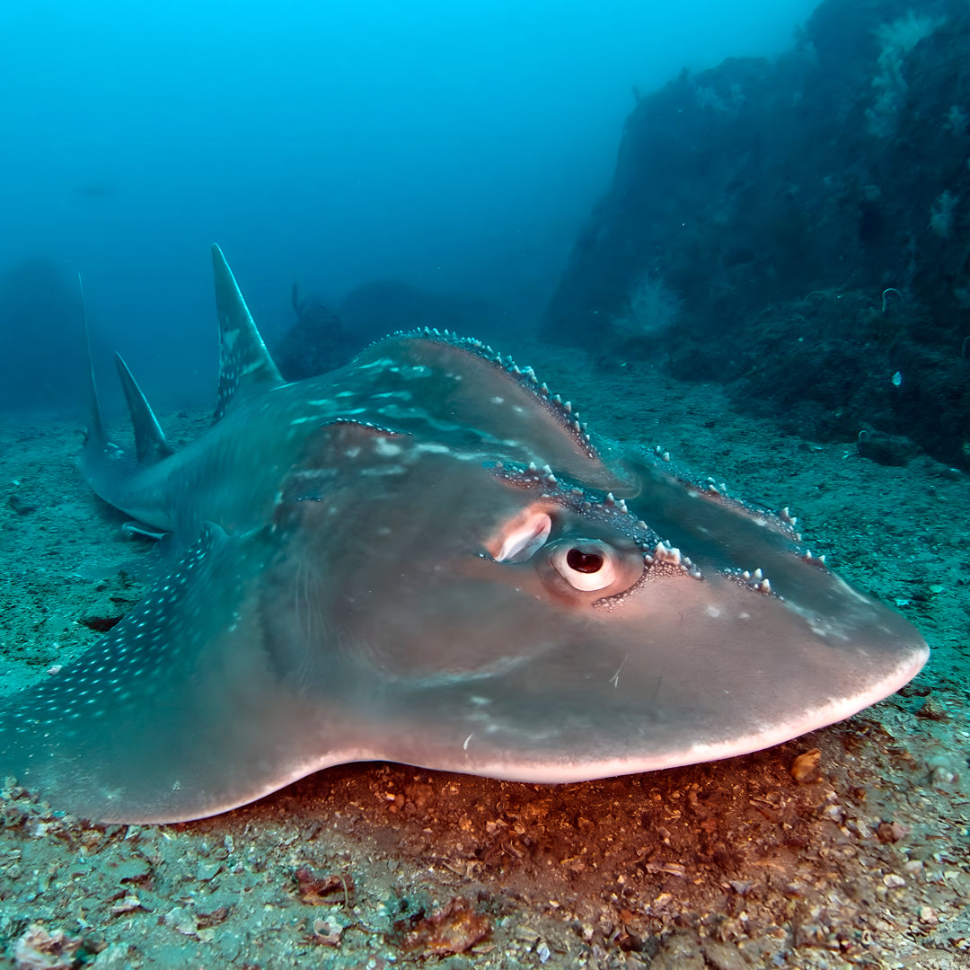 Discover Scuba Diving in Rainbow Beach