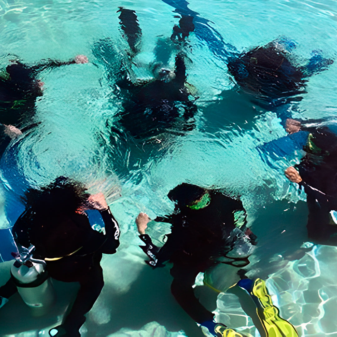 PADI Open Water Course in Rainbow Beach
