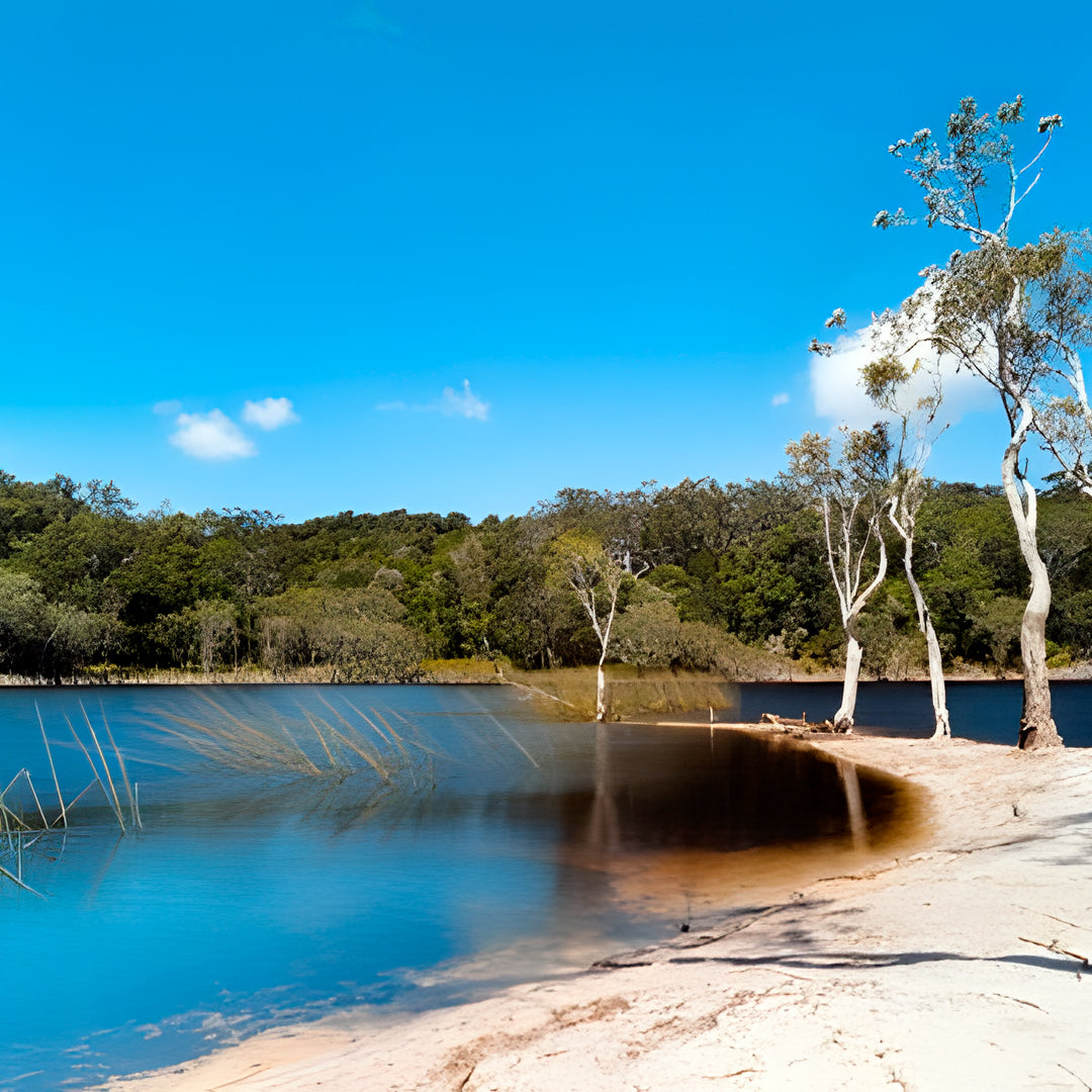 Discover Scuba Diving in Rainbow Beach