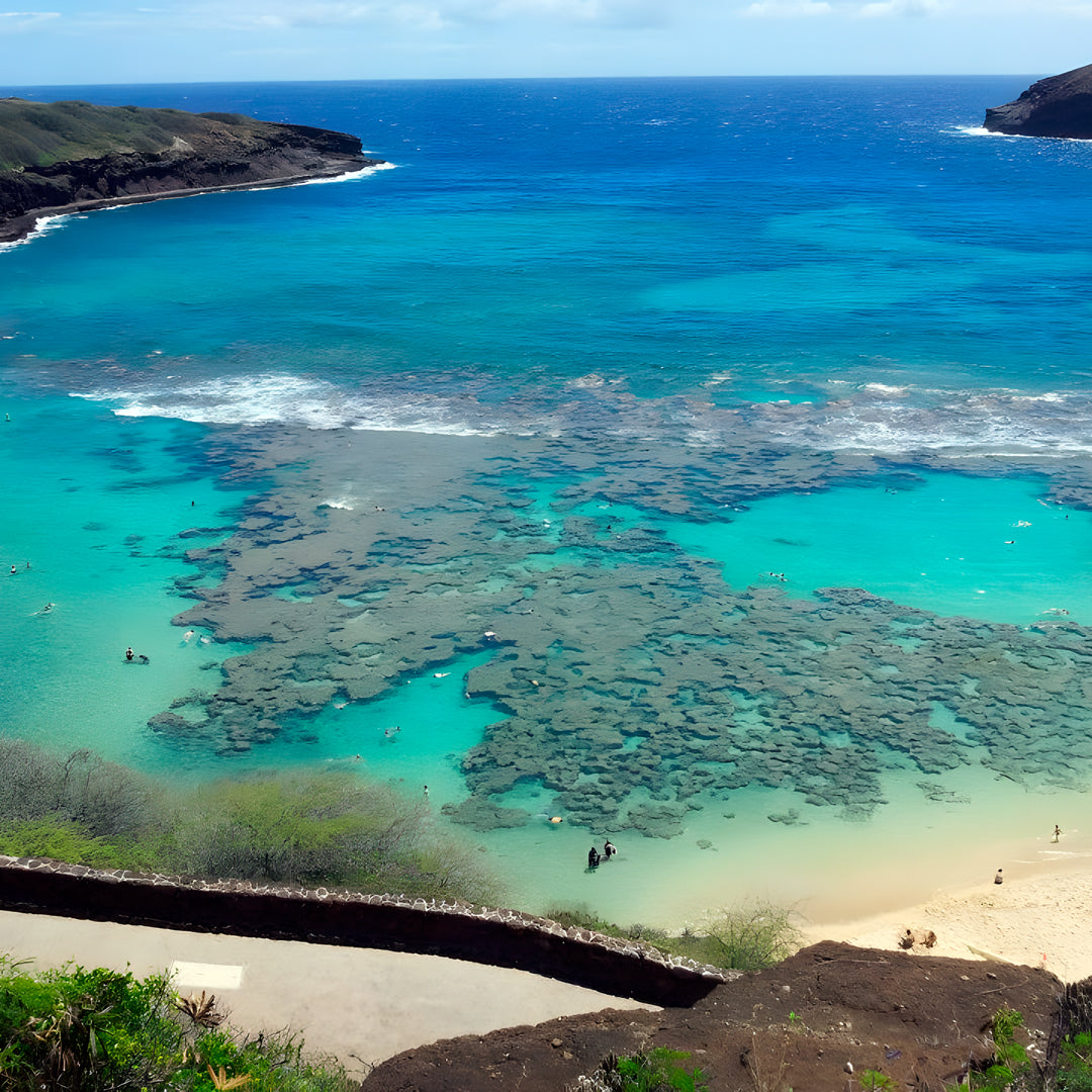 PADI Open Water Course in Rainbow Beach
