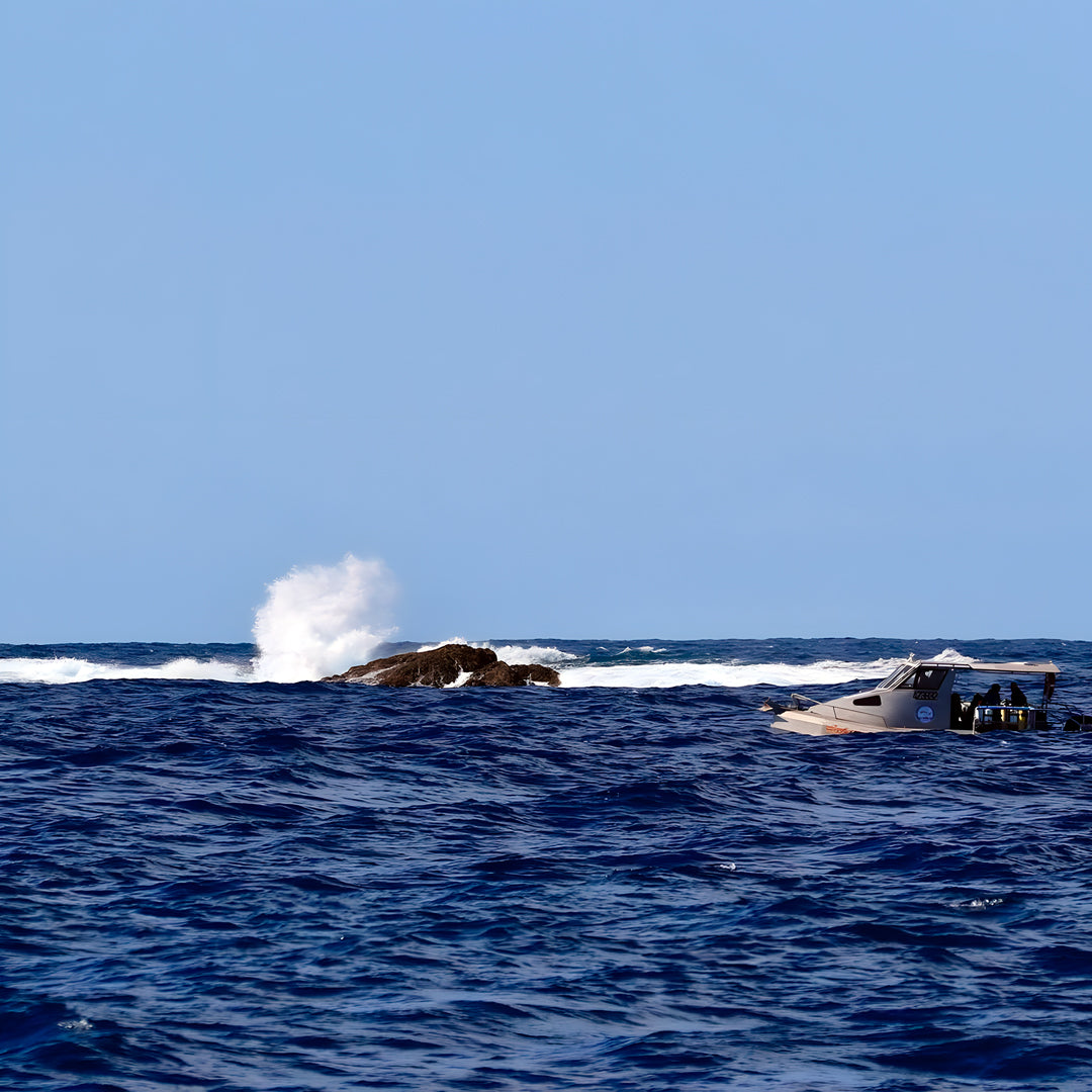 PADI Open Water Course in Rainbow Beach