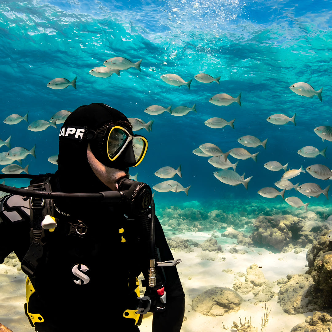 Nitrox Diver Course in Texas