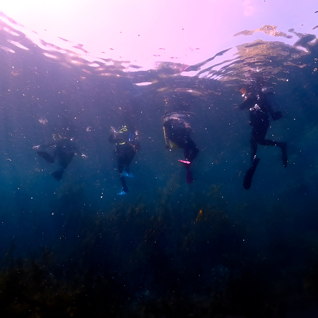 Scuba Diving Refresher Course in Texas