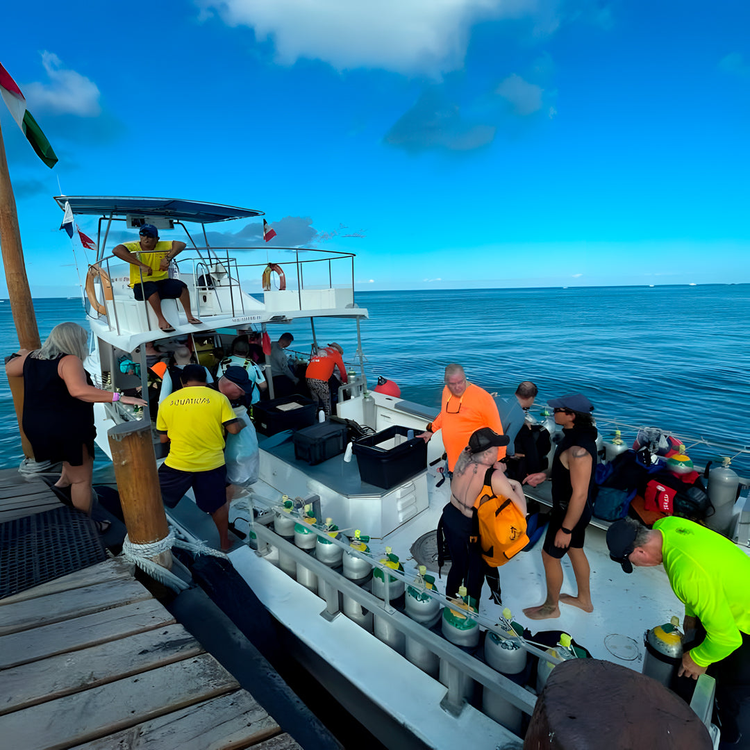 Scuba Diving Refresher Course in Texas