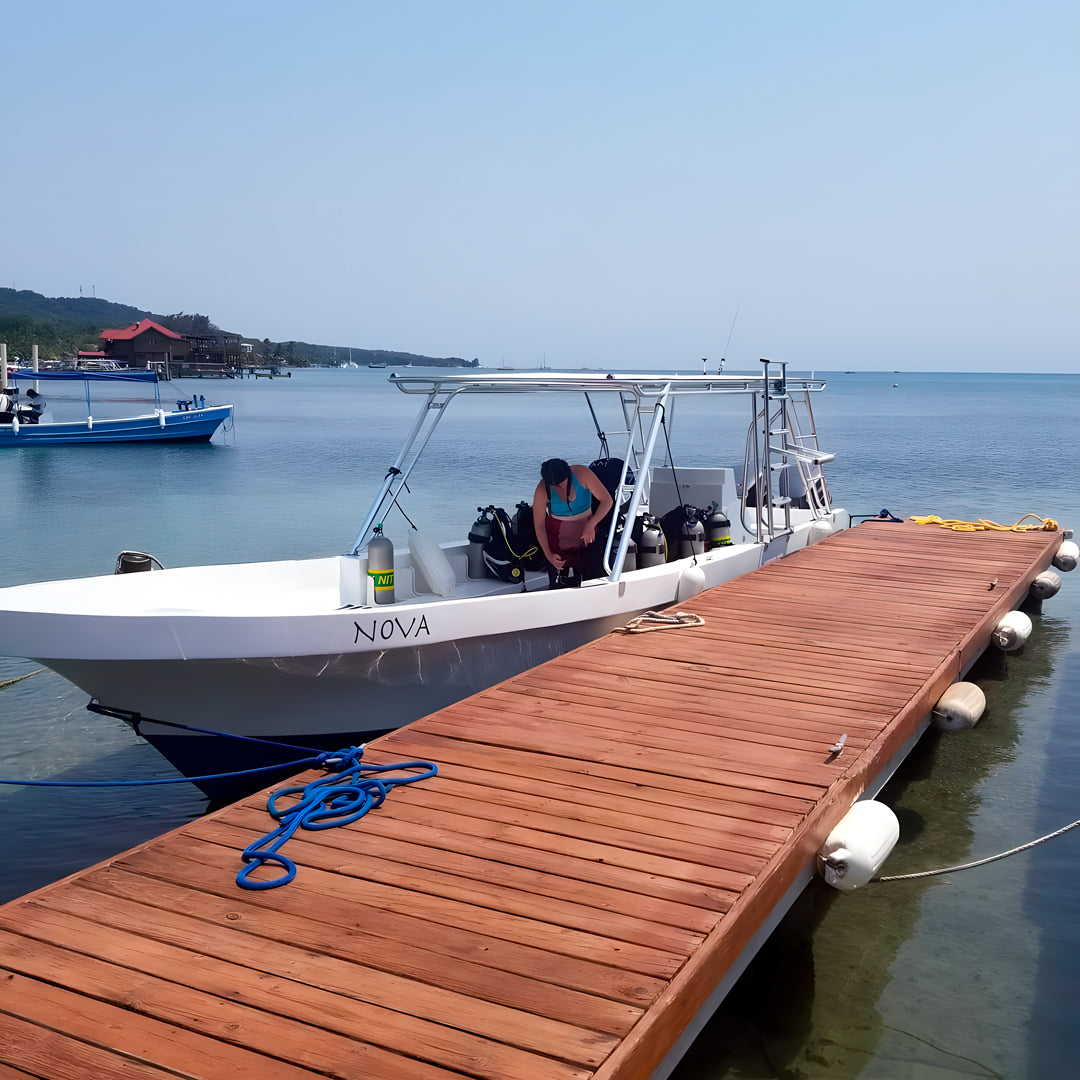 Scuba Diving Refresher Course in Texas