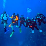 SSI Snorkel Diver Program in Texas