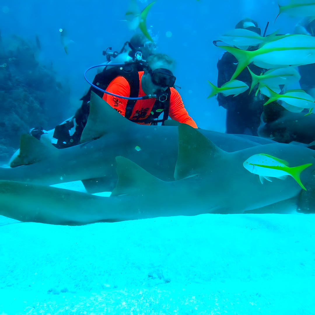 Try Scuba Diving in Texas