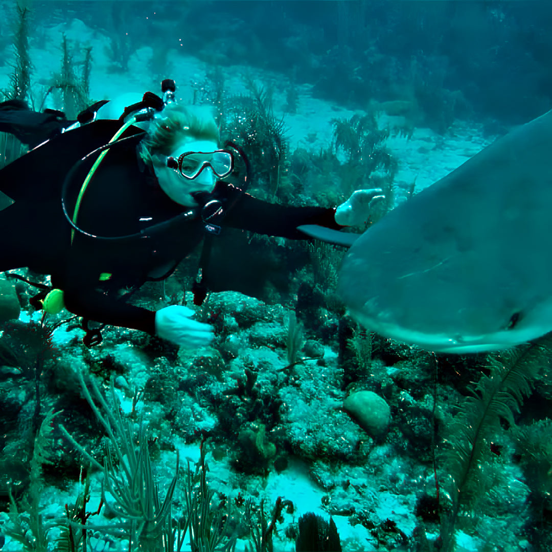 Try Scuba Diving in Texas