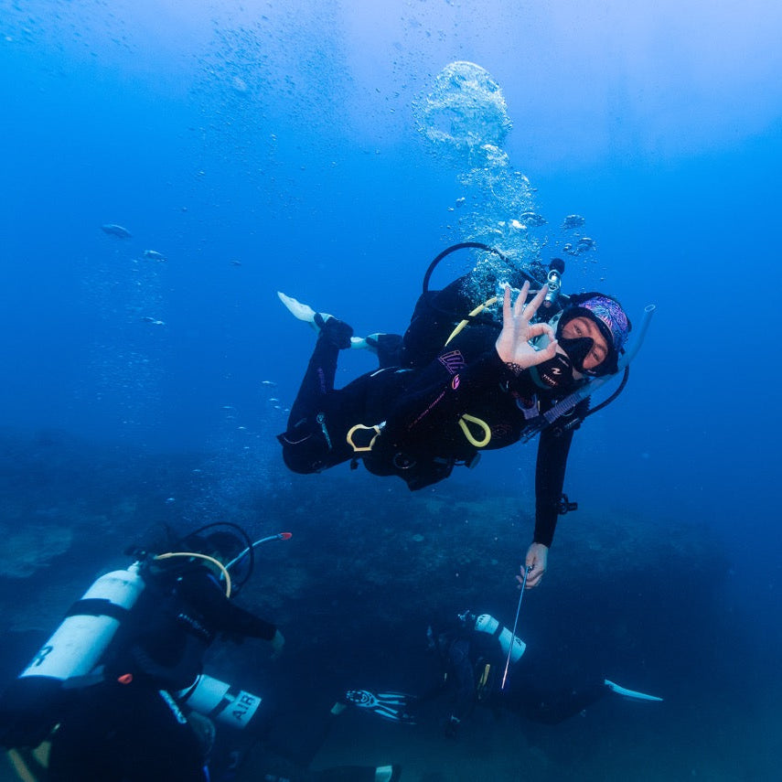 Shark Bay Fun Diving