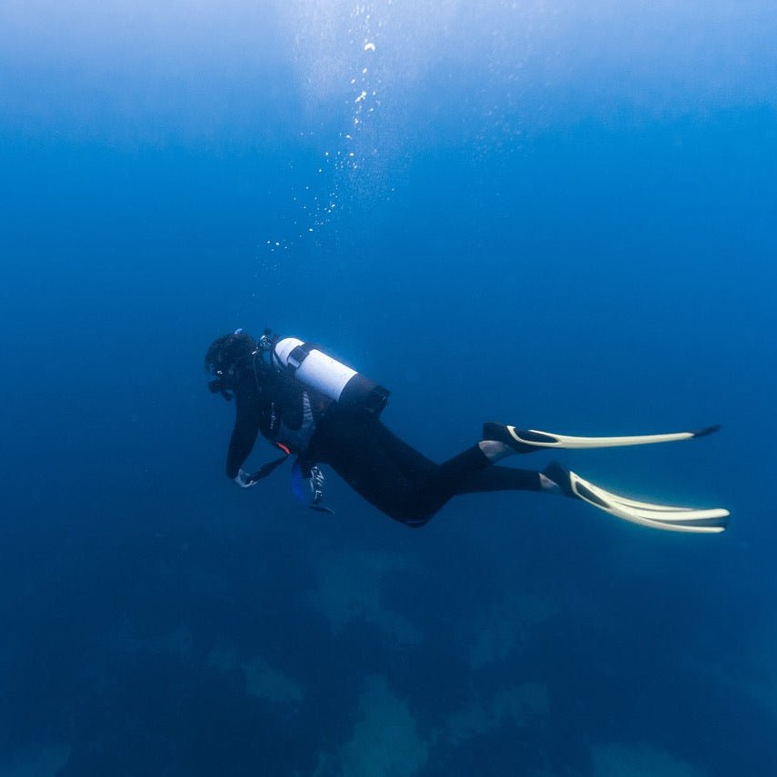 Shark Bay Fun Diving