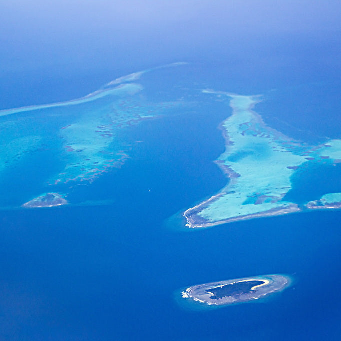 Apo Island on Apo Reef