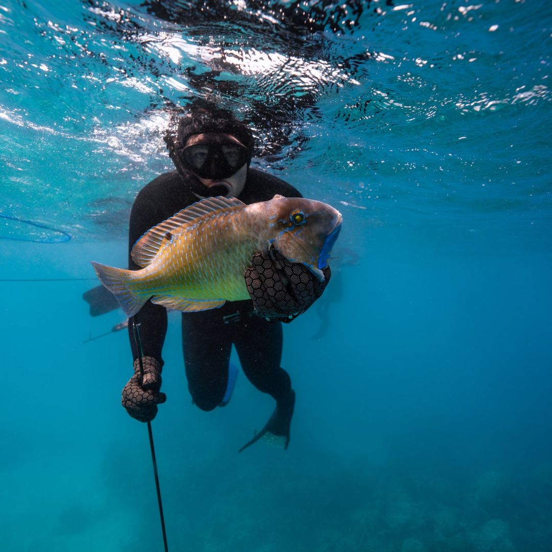 Bluewater Spearfishing Charter in Bali