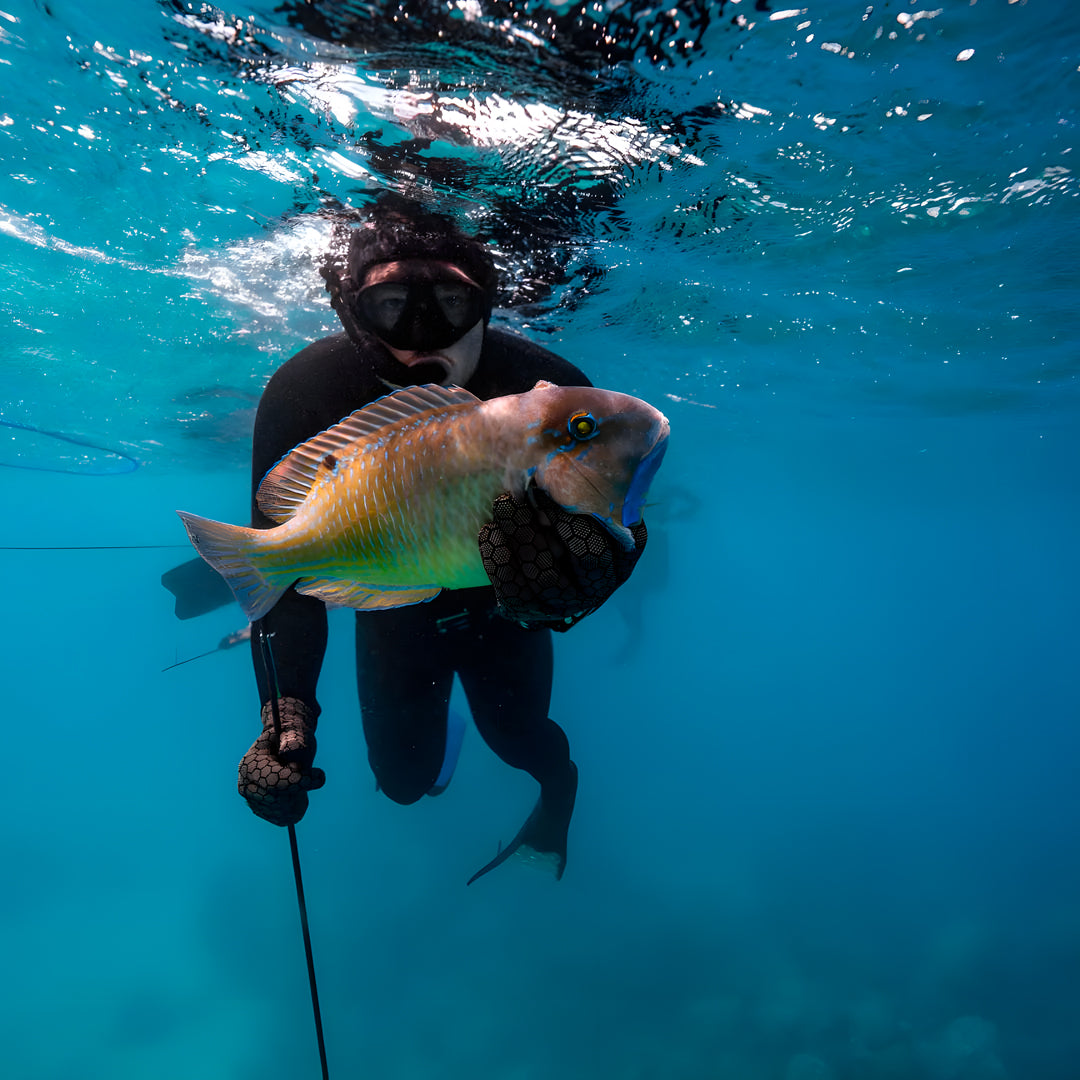 Bluewater Spearfishing Charter in Bali