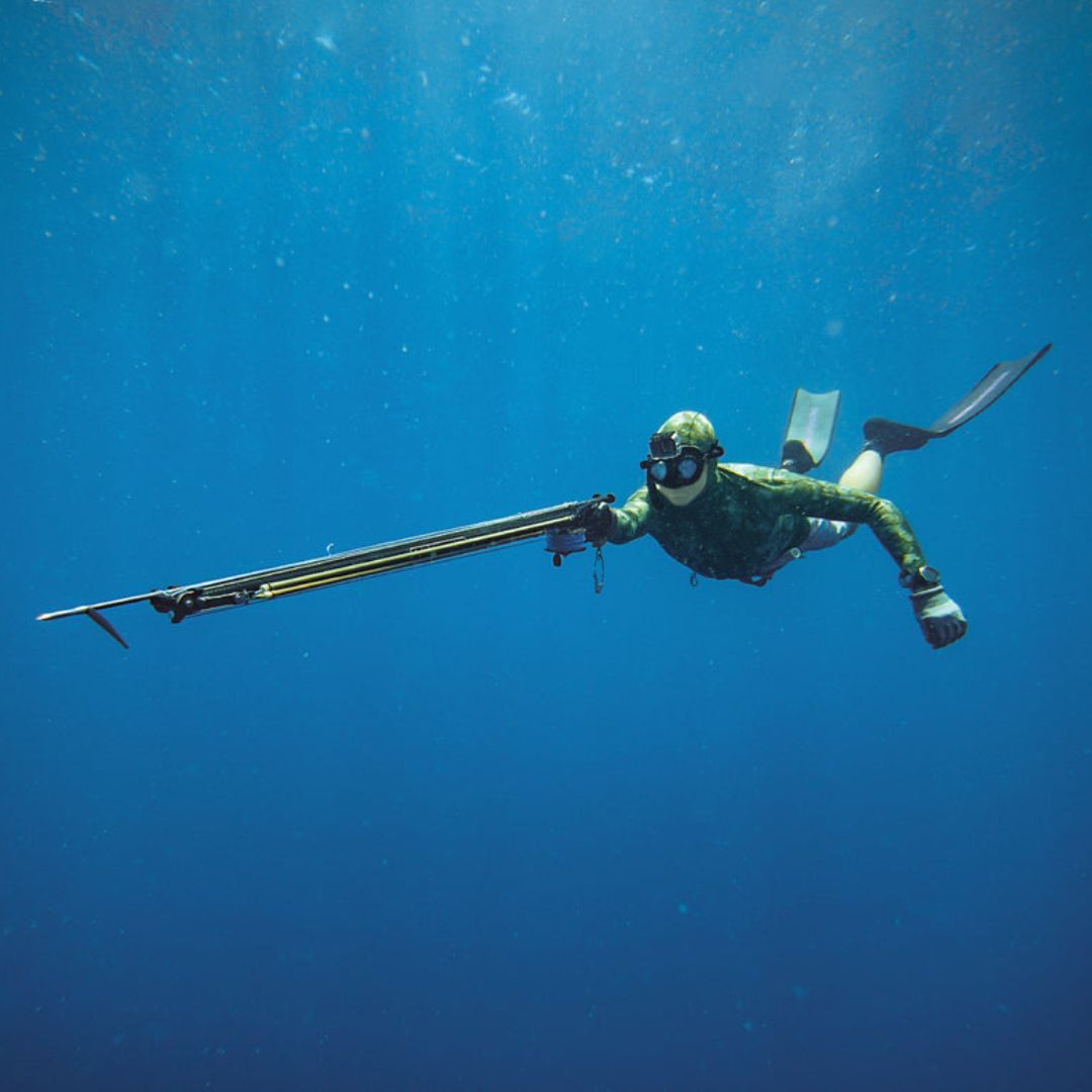 Beginner Spearfishing Course