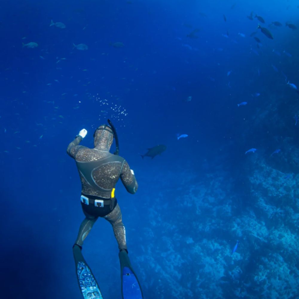 Beginner Spearfishing Course