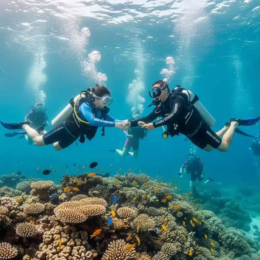 PADI Open Water Scuba Diver Course