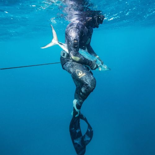 Spearfishing Bali Dive Trip