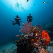 Komodo Essentials Liveaboards