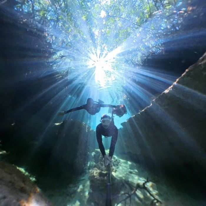 Cenote Freediving Beginner Course Adventure