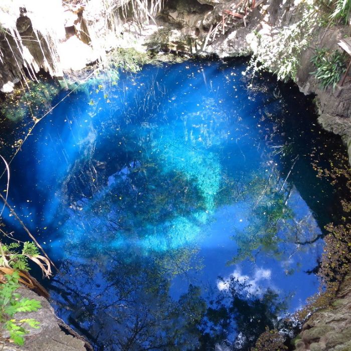 Cenote Freediving Beginner Course Adventure