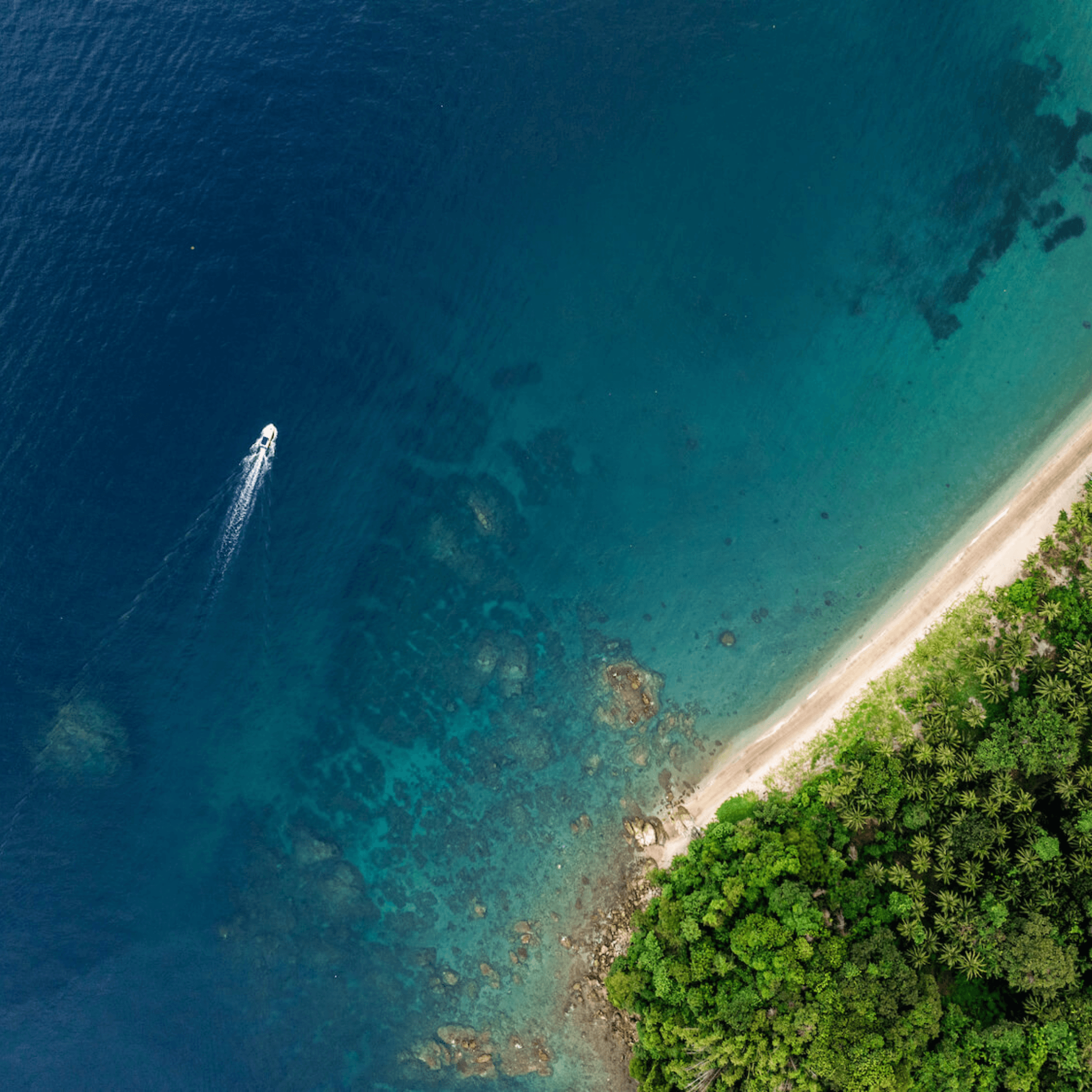 Coral Reef Safari Island Trip