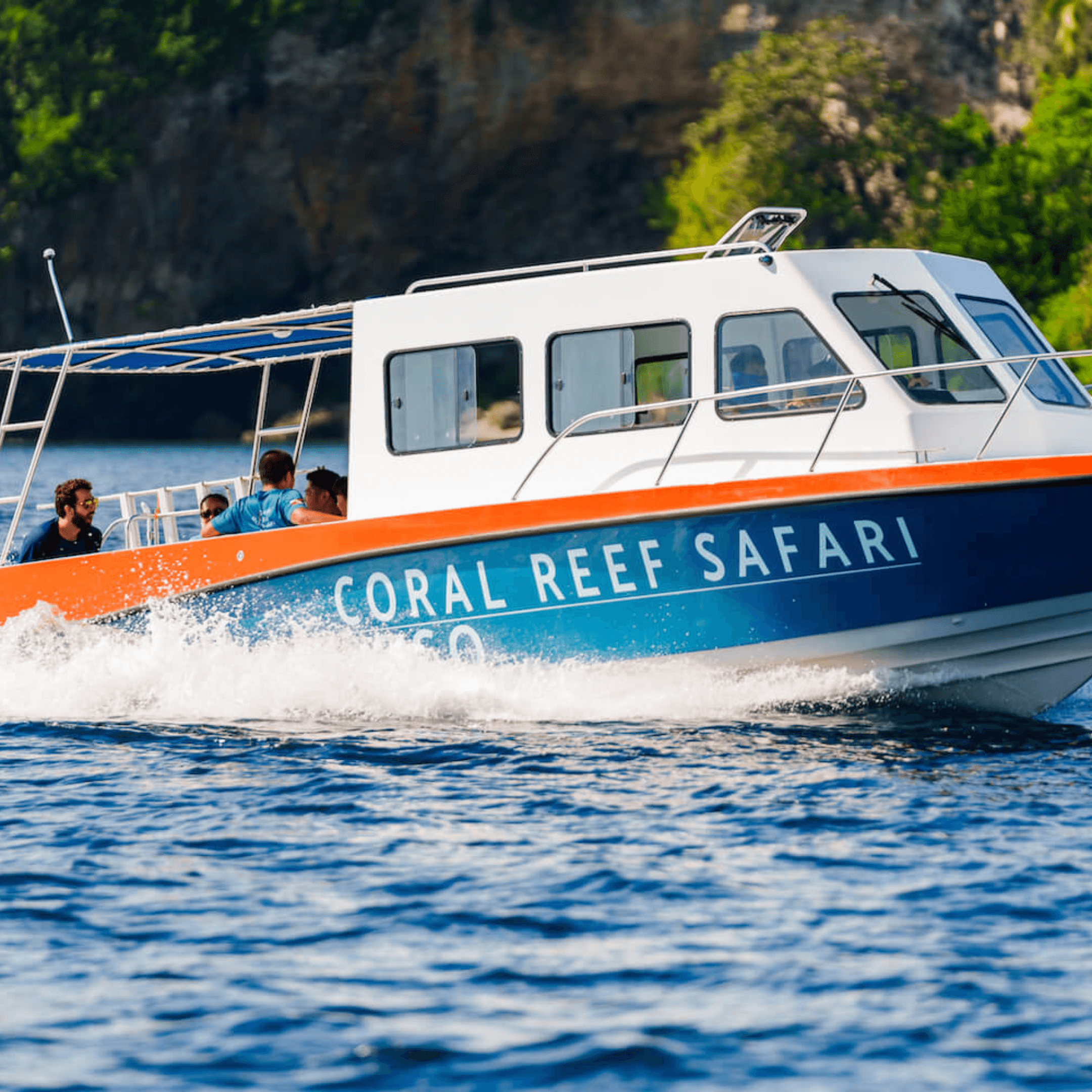 Coral Reef Safari Island Trip