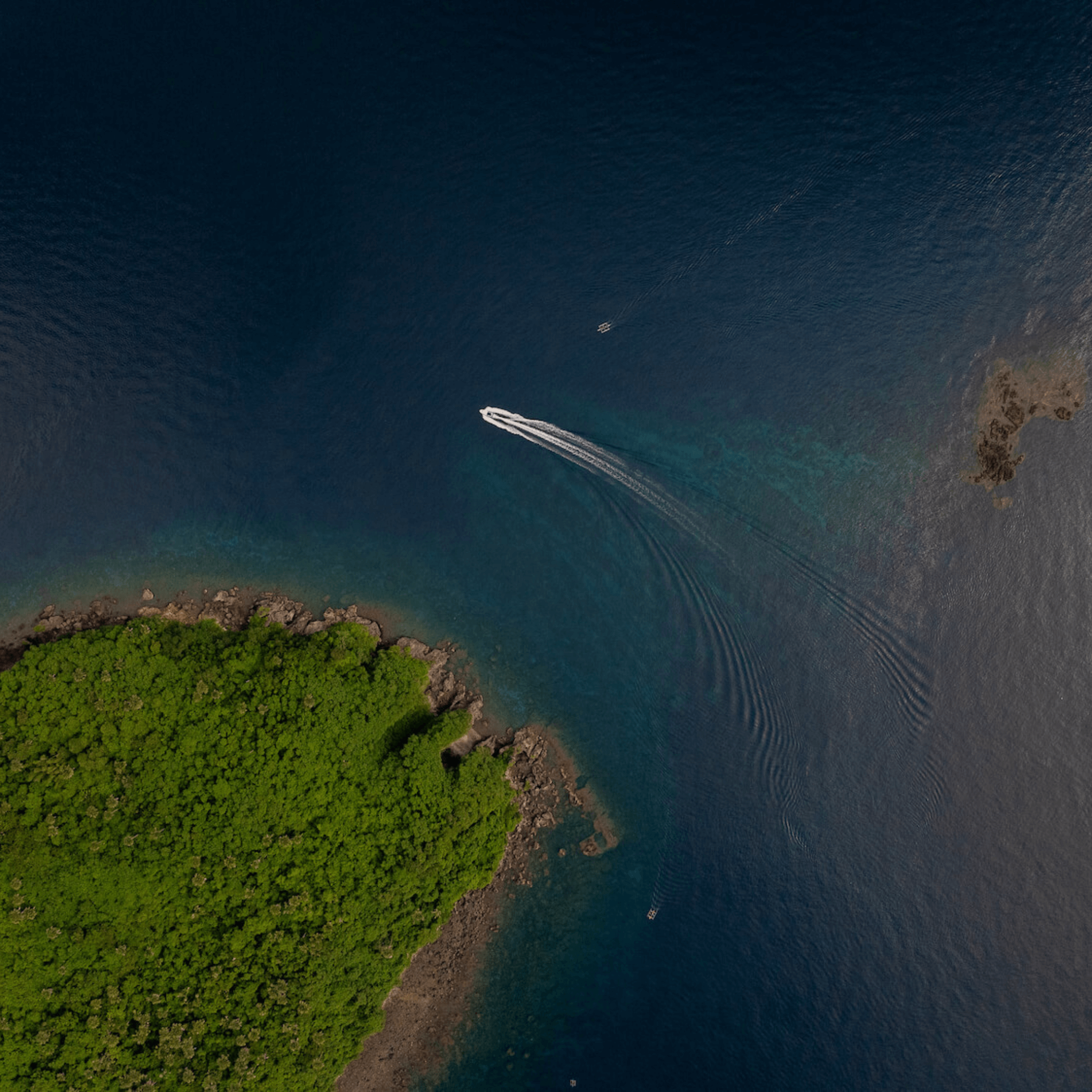 Coral Reef Safari Island Trip