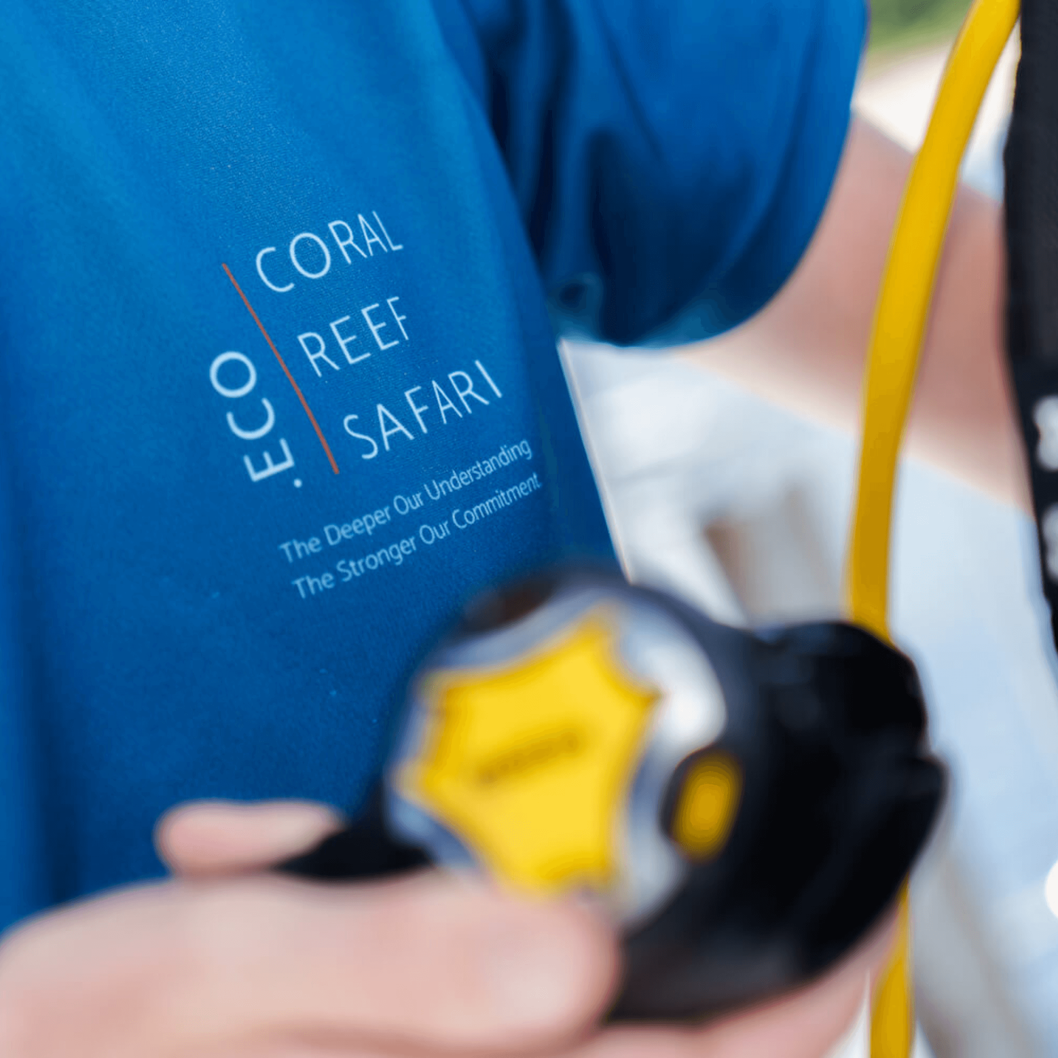 Coral Reef Safari Island Trip