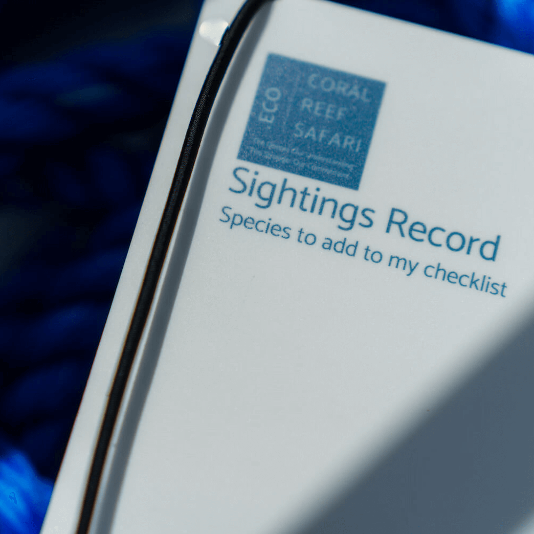 Coral Reef Safari Island Trip