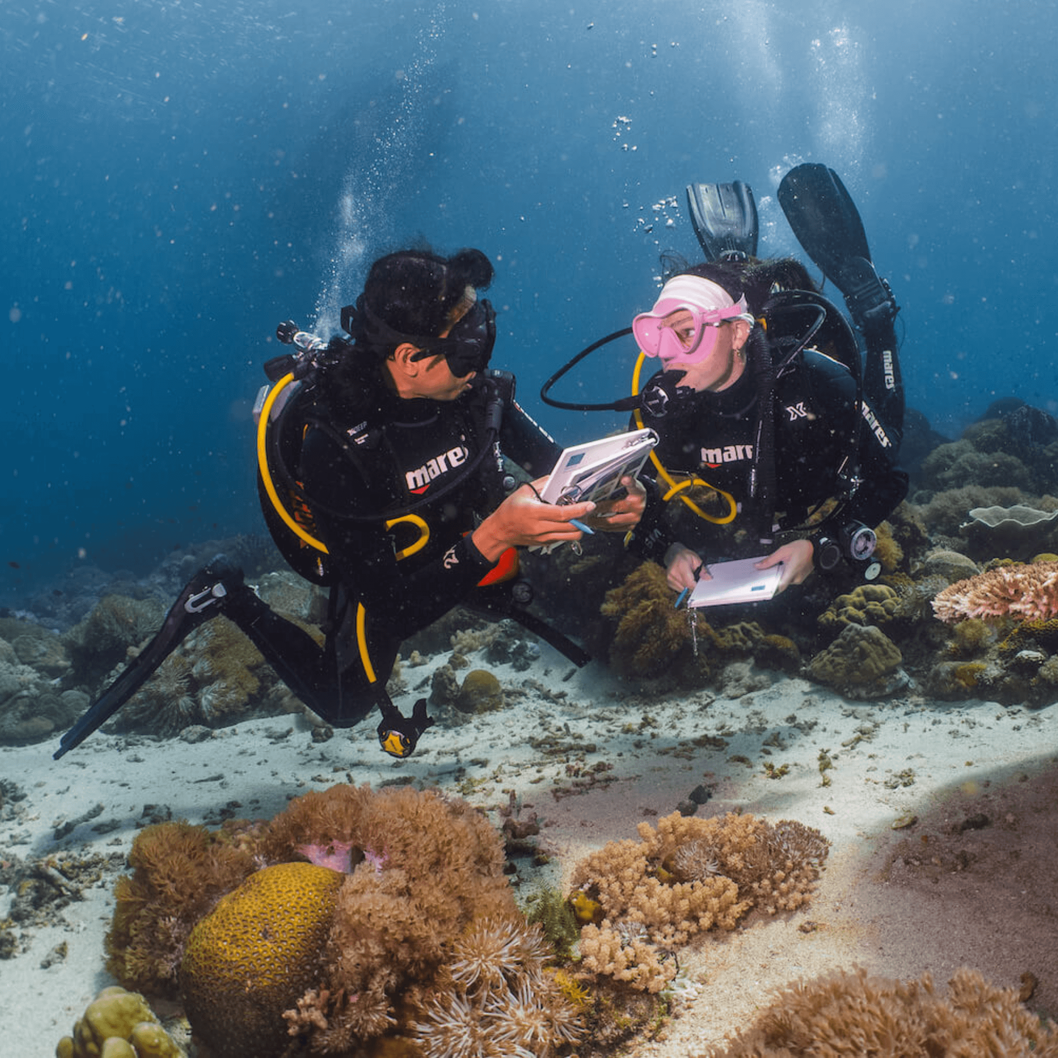 Coral Reef Safari Island Trip