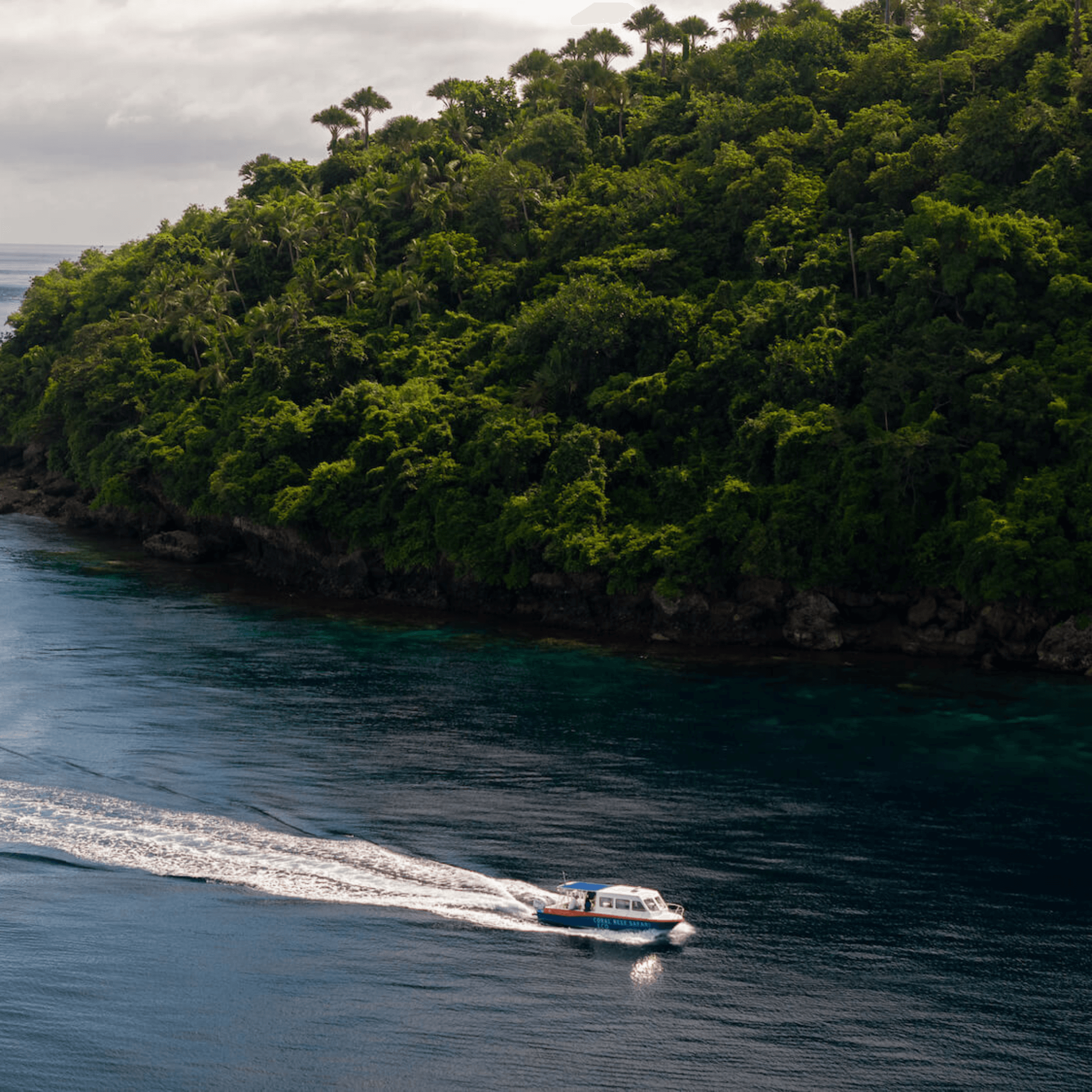 Coral Reef Safari Island Trip