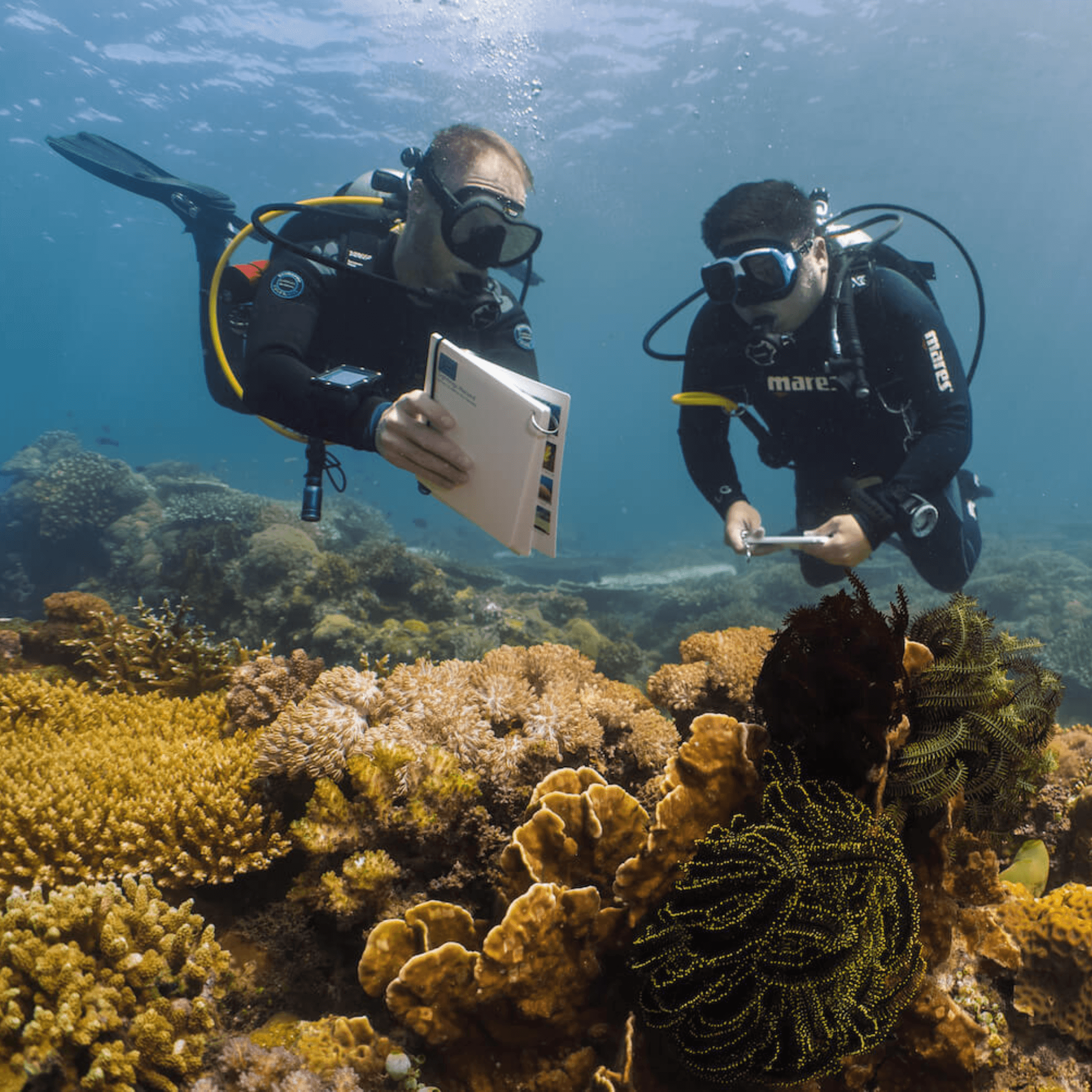 Coral Reef Safari Island Trip