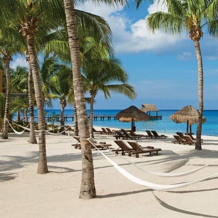 Cozumel Scuba Diving Retreat