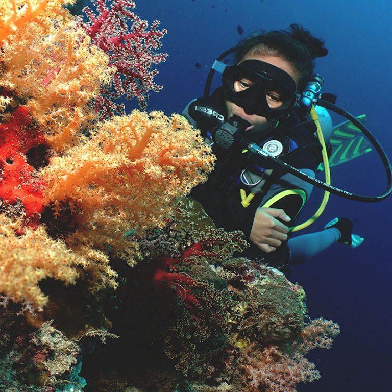 PADI Divemaster Certification Course in Cebu