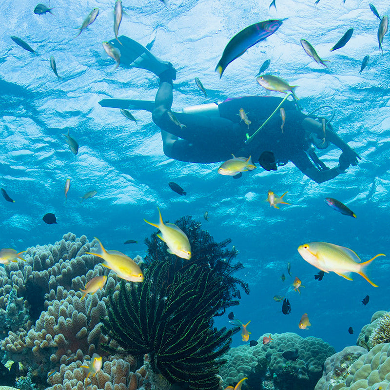 NAUI Open Water Scuba Diver in Boracay