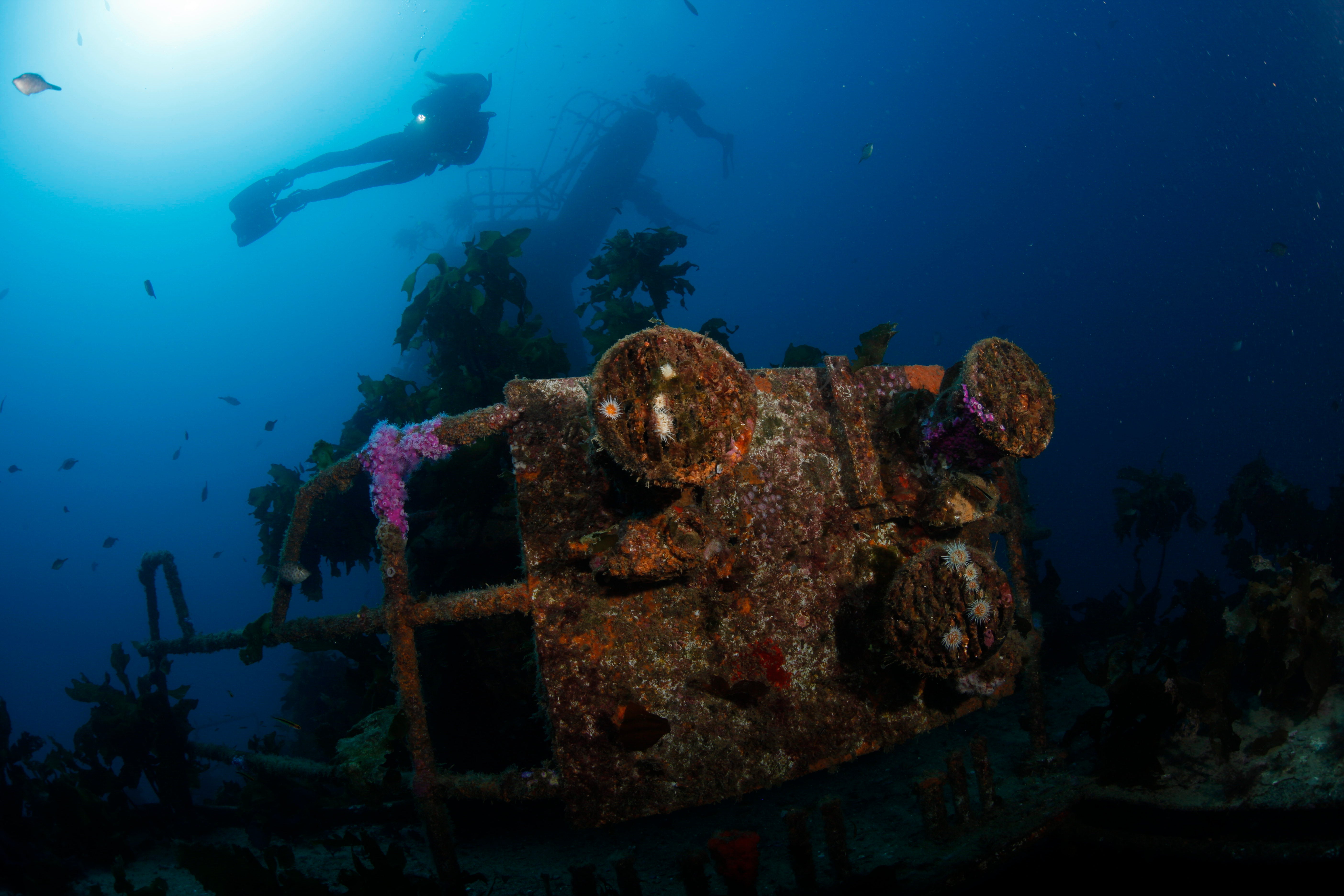 Canterbury Wreck and Reef Dive