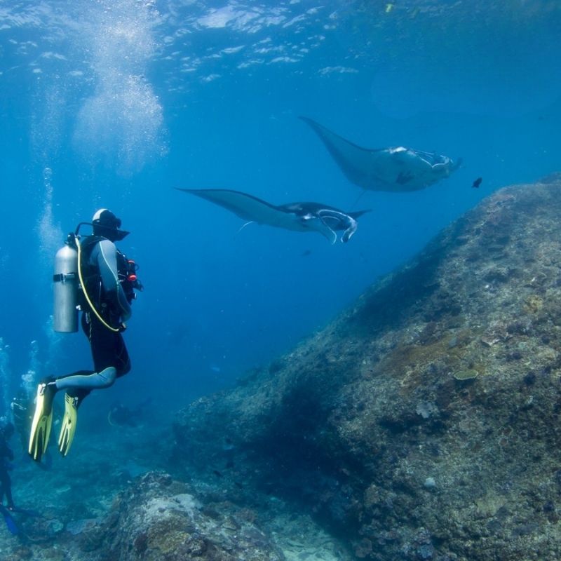 Nusa Penida Certified Diving Fun Dive Day Trip