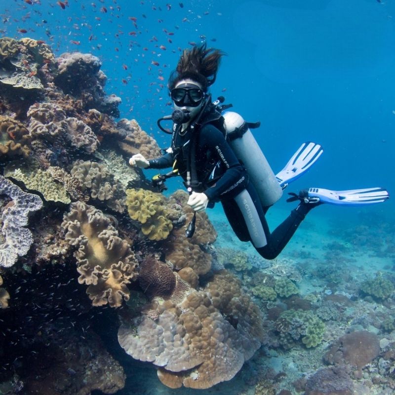 Nusa Penida Certified Diving Fun Dive Day Trip