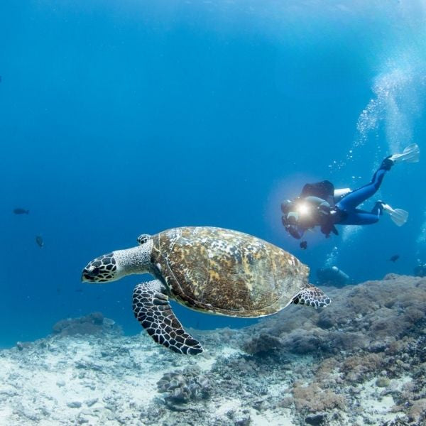 Nusa Penida Certified Diving Fun Dive Day Trip